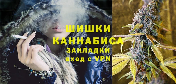 хмурый Мегион