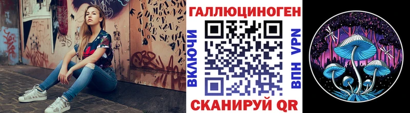 Псилоцибиновые грибы Psilocybine cubensis  Ковдор 